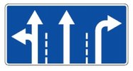 507 Eismo kryptys sankryžoje (Nurodo eismo juostų skaičių ir kryptis, kuriomis leidžiama važiuoti kiekviena eismo juosta. Kai leidžiama sukti į kairę, iš kairės kraštinės eismo juostos leidžiama ir apsisukti)