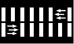 Pėsčiųjų perėja - zebras su pėsčiųjų ėjimo kryptį nurodančiomis rodyklėmis